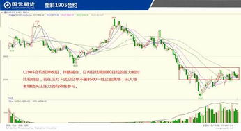 二四六天天好944cc246天彩的玩法介绍|探讨决策过程中资料的重要性_个体集.0.854